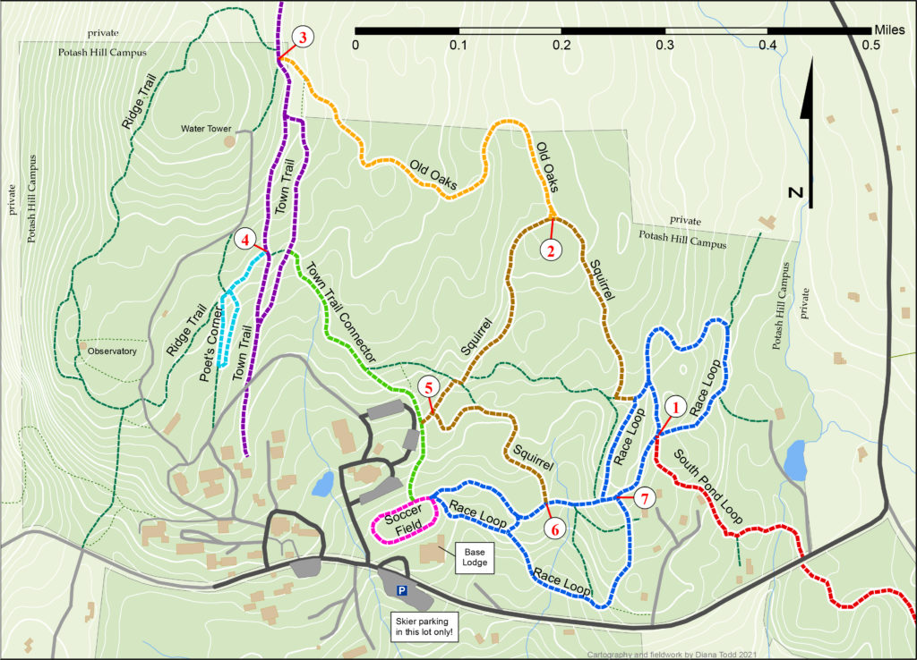 Marlboro VT Trails - Hiking & Skiing on Potash Hill